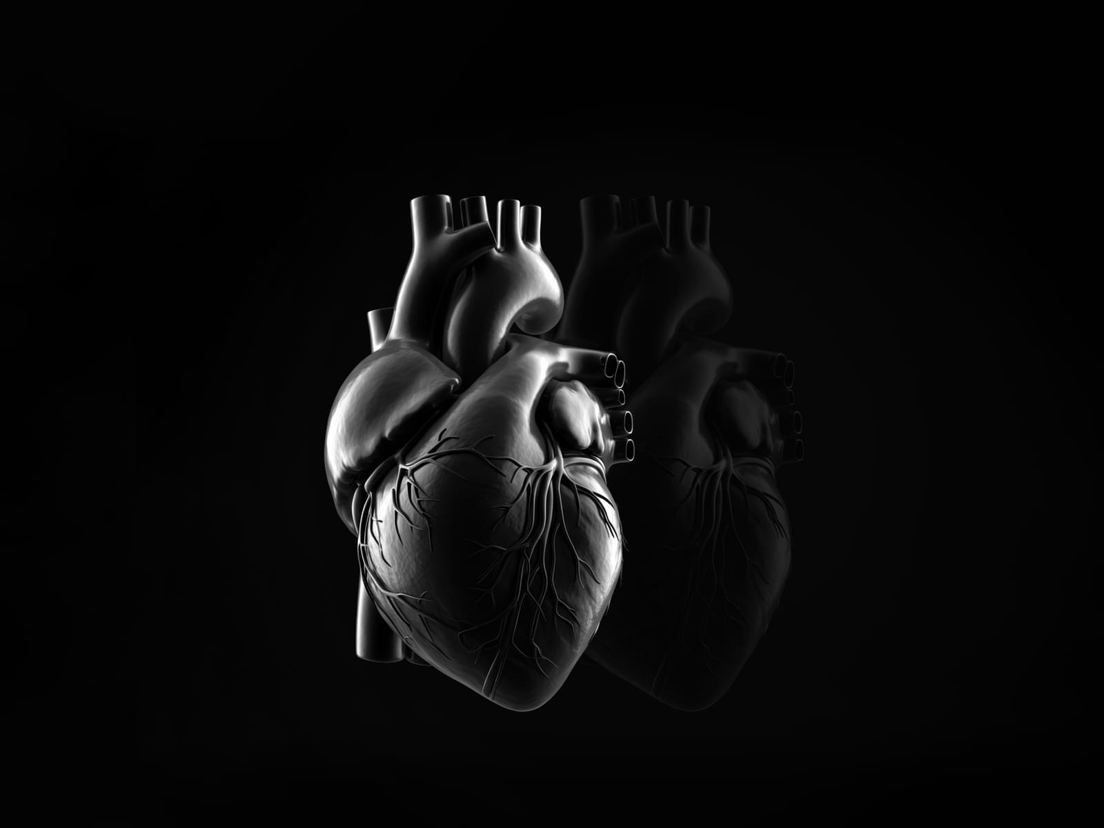 Our Team Averin our-team-averin